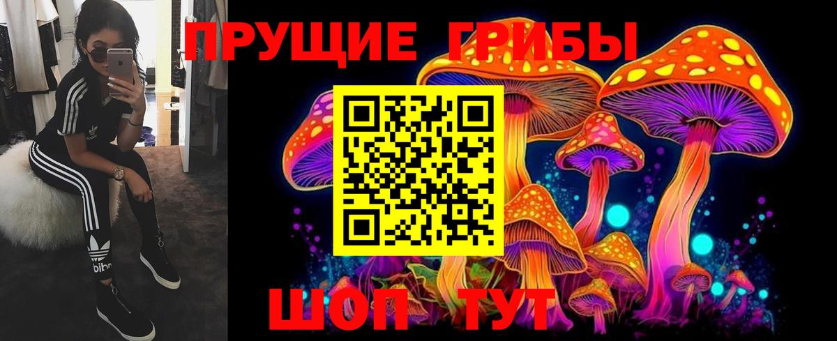 Галлюциногенные грибы MAGIC MUSHROOMS Чебаркуль