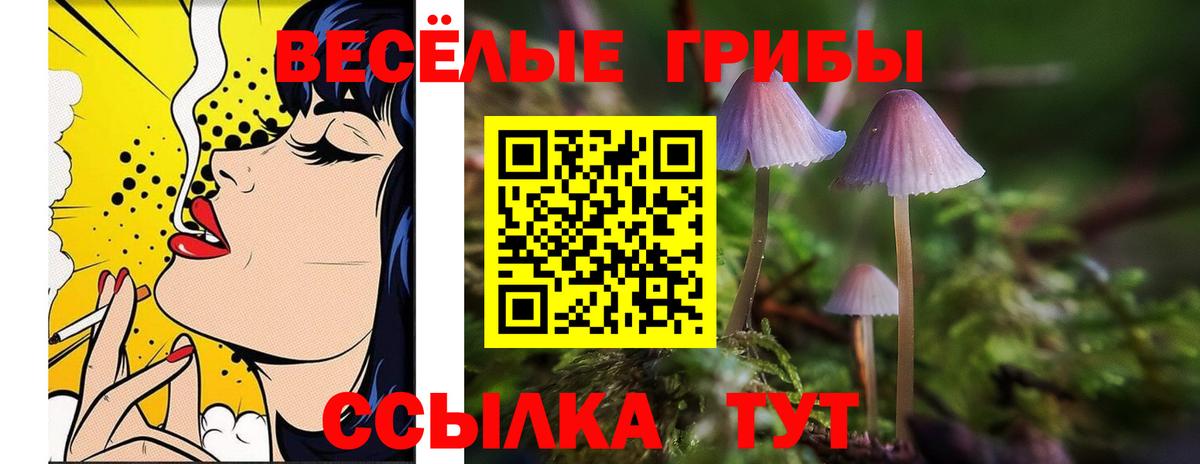 Псилоцибиновые грибы Magic Shrooms  Вход с VPN  Чебаркуль 
